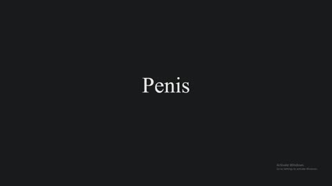 How to Pronounce Penis