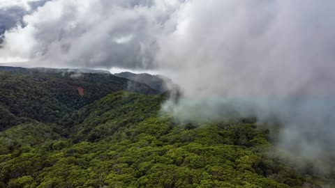 Aerial Hawaii Drone Footage with Relaxing Hawaiian