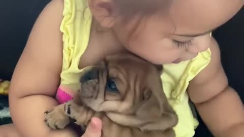 sweet baby kisssess dog funny