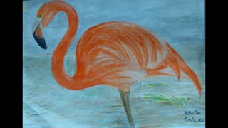 Drawing Orange Flamingo