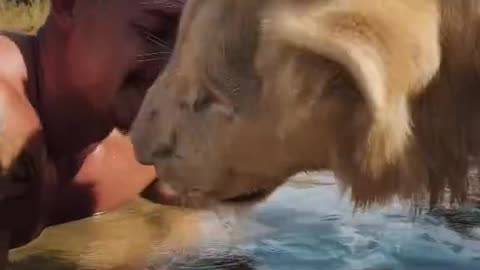 Loin and their family love with human