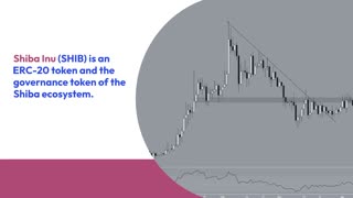 Is Shiba Inu (SHIB) Set to Soar or Sink in Price?