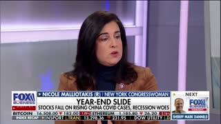 Split Congress causing concerns over direction of the country: Rep. Nicole Malliotakis