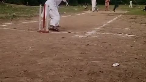 Tapeball cricket