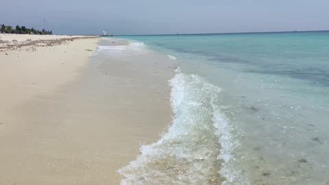 WALKING MEDITATION on the beach release stress #walkingmeditation #nature