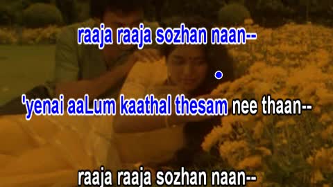 Raja raja sozhan naan, Video for karaoke singing by D Sudheeran