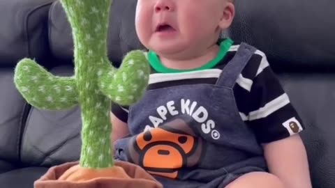 Cute baby seeing dancing cactus for the first time