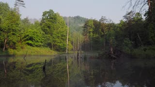 Nature sings down by the Beaver Pond - E134