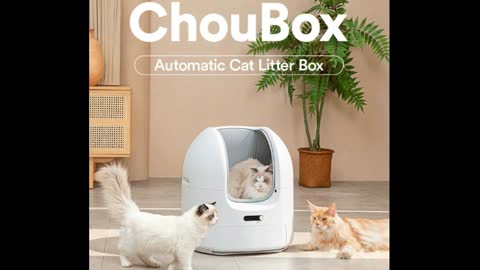 ChouBox: The Ultimate Automatic Litter Box
