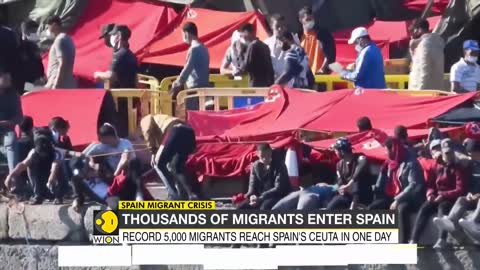 Spain Migrant Crisis: Spain witnesses unprecedented migration | Latest World English News | WION