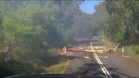 Unsettling Moments Captured On DashCam