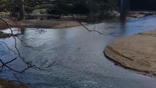 19.6.2024 The Barron River, Kuranda