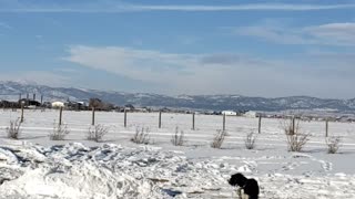 Winter chemtrails in montana