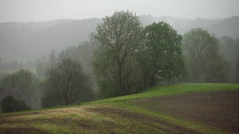 Rain HD for 6 hours 6 minutes 6 seconds and 6 milliseconds - Long Videos