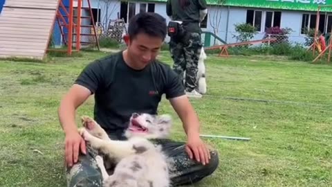 Dog having fun with his master must watch :)