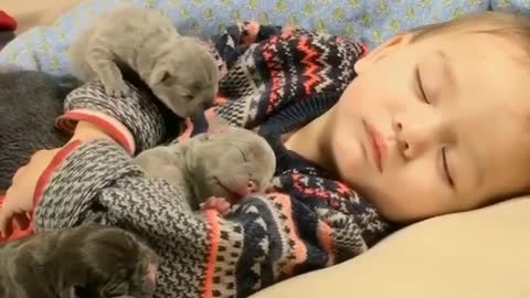 Adorable baby sleeps with three dogs