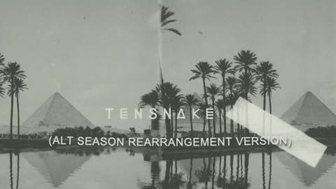 Tensnake - Desire (Alt Season Rearrangement Version)