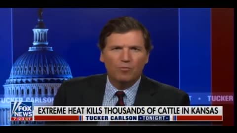 Tucker Carlson Covers the 10,000 Kansas Cattle Deaths and Food Processing Crisis in America