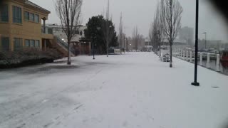 Beautiful Snow Falling In Kelowna January 21 2023