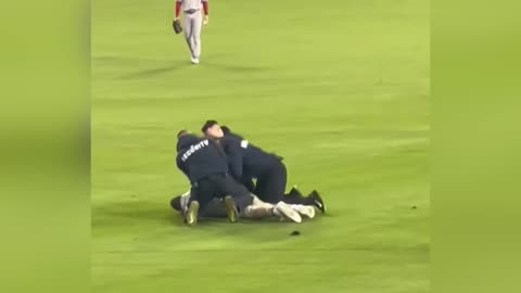 OUT OF LEFT FIELD! Security Absolutely WRECKS Man Who Jumps on Field for Proposal