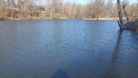 Baldwin Lake-Wallace Lake/Quarry