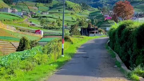 Road To Nepal Van Java