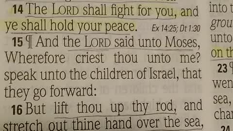 Exodus 14: 13-31
