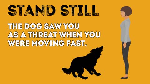 How to survive a dog attack.