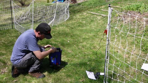 Portable Electric Poultry Fencing