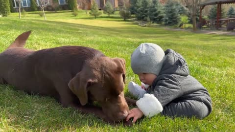 Priceless Reactions: My Baby's First Touch of Grass with Dog by their Side