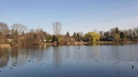 Neighborhood Pond at Sunset