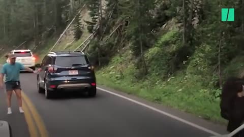 Cet homme a défié un bison du parc de Yellowstone et ça aurait pu très mal se terminer