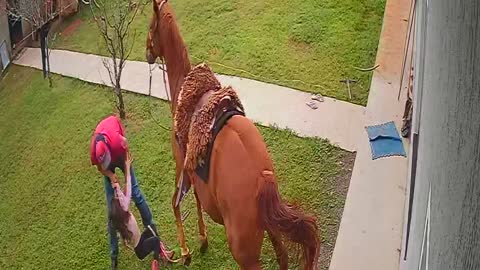 Daughter Bounced off Horse's Back