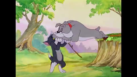 Tom & Jerry