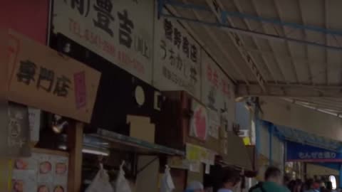 Tsukiji Outer Market Tokyo Japan Tour