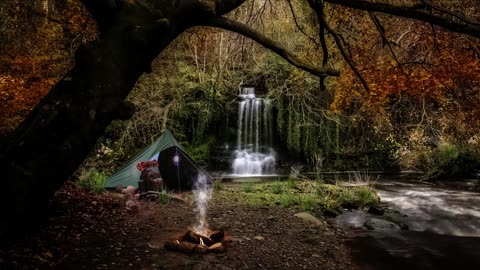 Forest Relaxation, Reading Acoustic Background Music