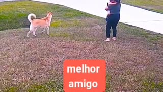 O melhor amigo do Homem