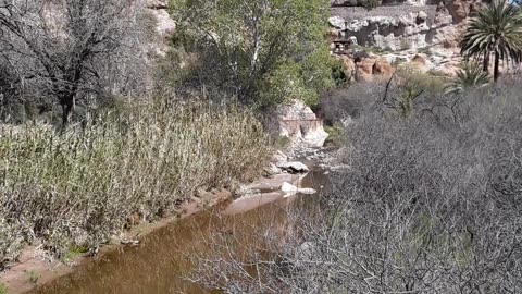 Boyce Thompson Arboretum and the Queen Creek bridge and clear water.