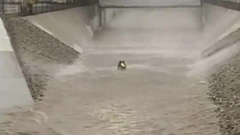 LA firefighters rescuing a flood victim