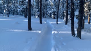 2X Double Speed Hiking in a Winter Wonderland – Central Oregon – Swampy Lakes Sno-Park