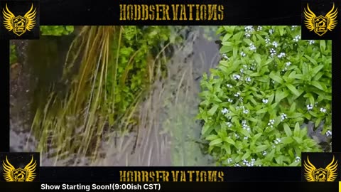 Hobbservations: Sentry H2O