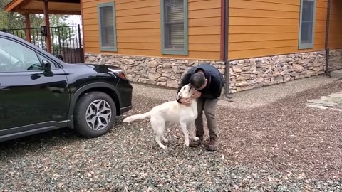 ANIMAL'S REUNITED WITH OWNERS EMOTIONAL MOMENT 🥰🥰