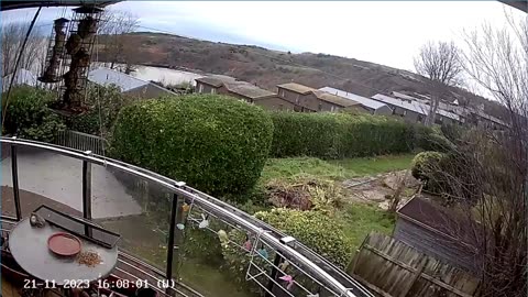 Saint Mary's cove Brixham and bird feeder