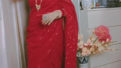 Red sequence saree