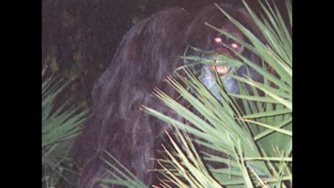 IS BIGFOOT REAL? WOLVOMAN80 APE CANYON BIGFOOT ATTACK, SASQUATCH FOOTAGE.