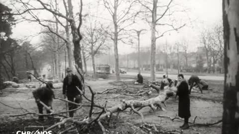 Hungerwinter in Berlin 1946-47 Ist es bald wieder soweit ?