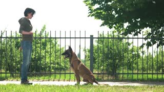 Basic Dog Training – Essential Commands Every Dog Should Know!