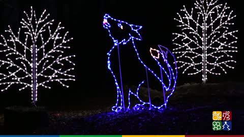The Maryland Zoo Holiday Light Show