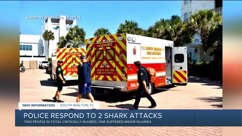 Authorities warn of shark dangers along Gulf Coast beaches after 3 people are attacked