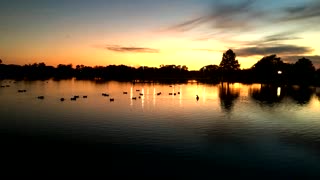 Texas (Brazos river to Hill Country)